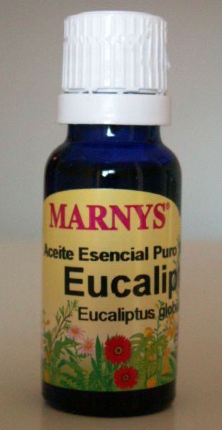 Aromaterapia. Aceite esencial de eucalipto